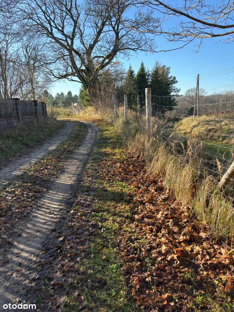 Działka siedliskowa z wydanymi warunkami zabudowy + stawy rybne-17