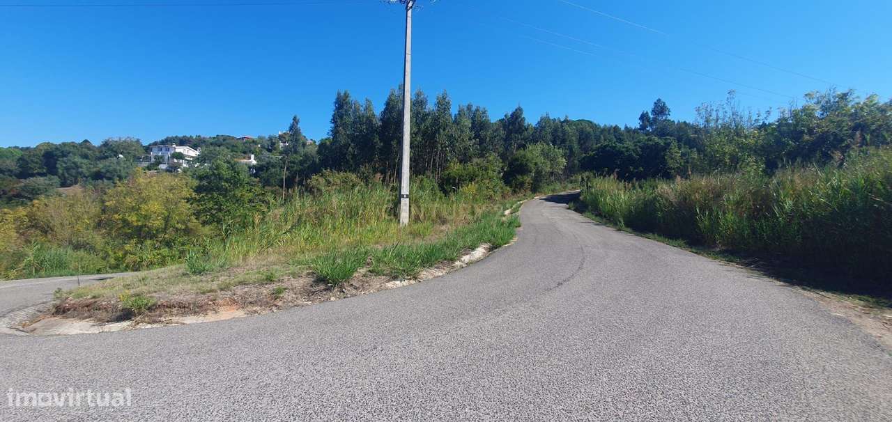 Terreno á Venda Maiorga, Alcobaça - Grande imagem: 4/6