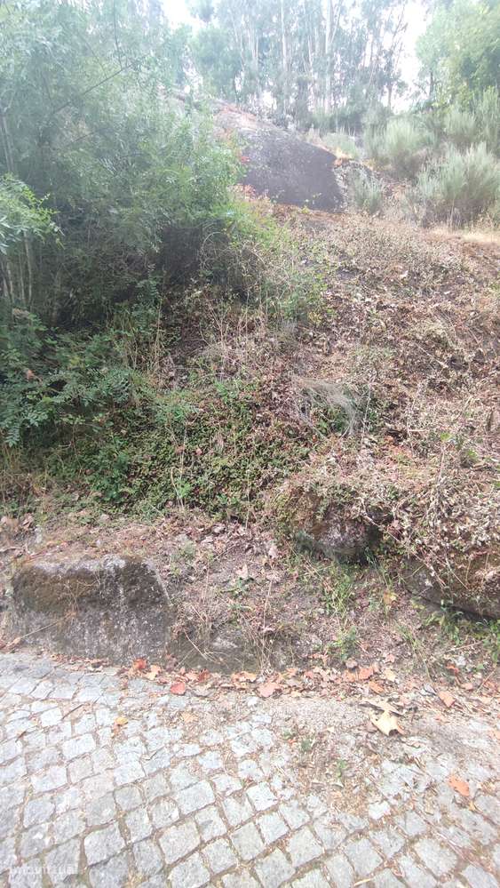 Terreno, 2 200 m², Bouro (Santa Maria) - Grande imagem: 3/8