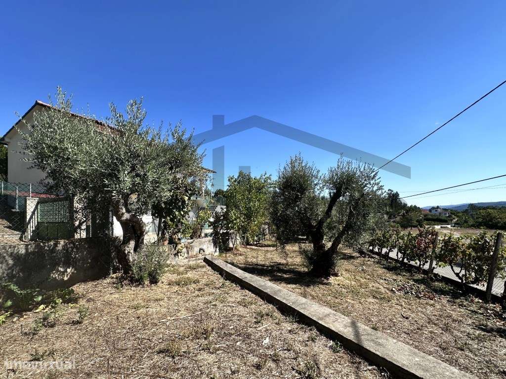 Moradia Típica na Sertã - Grande imagem: 4/40