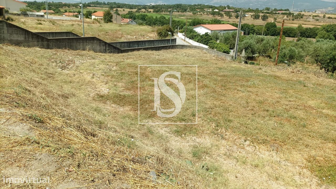Lote na Cerca do Conde, Caria - Grande imagem: 1/12