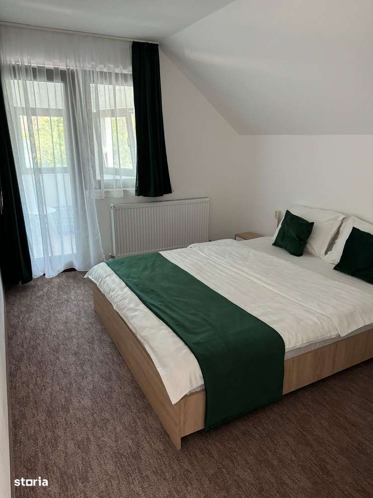 RAMDA,Afacere la Cheie Pensiune 9 CAMERE Baile 1 Mai Baile Felix-5