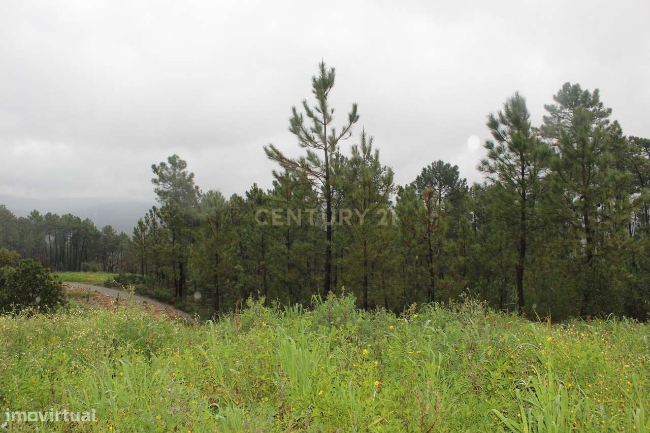 Casa de Campo na Lameirinha-41