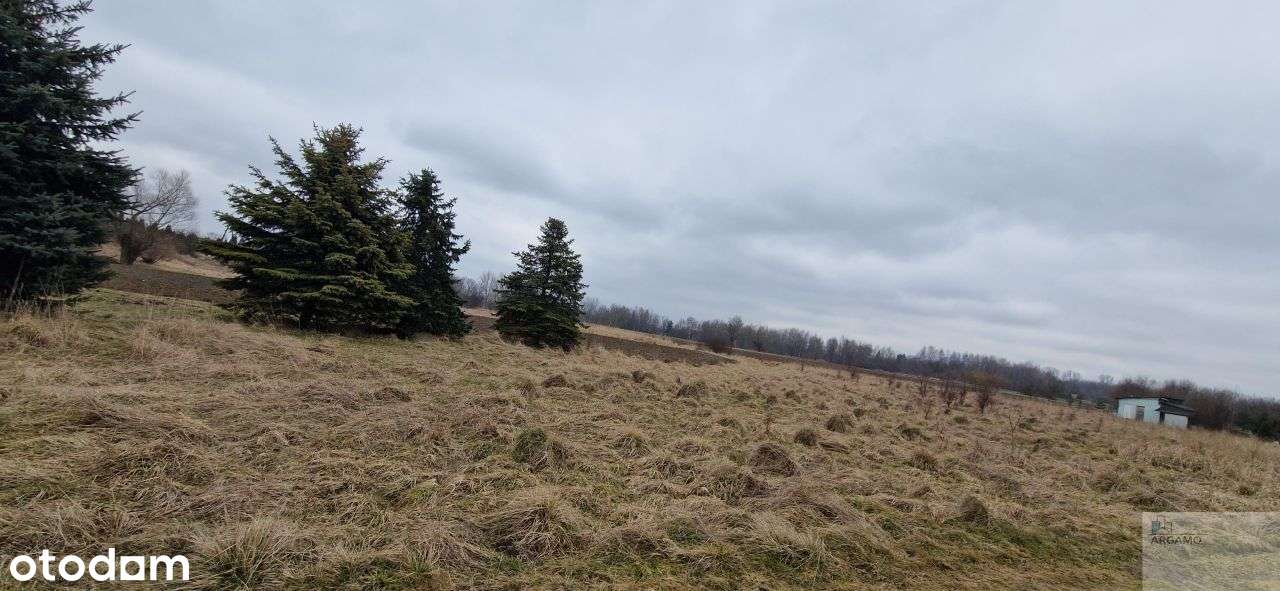 działka Rolna lub weekendowy Chill - Pełny obrazek: 4/8
