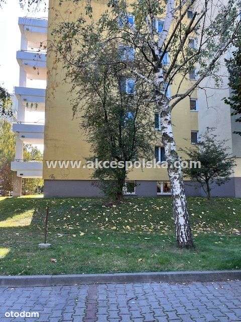 lokal użytkowy na Gocławiu-5