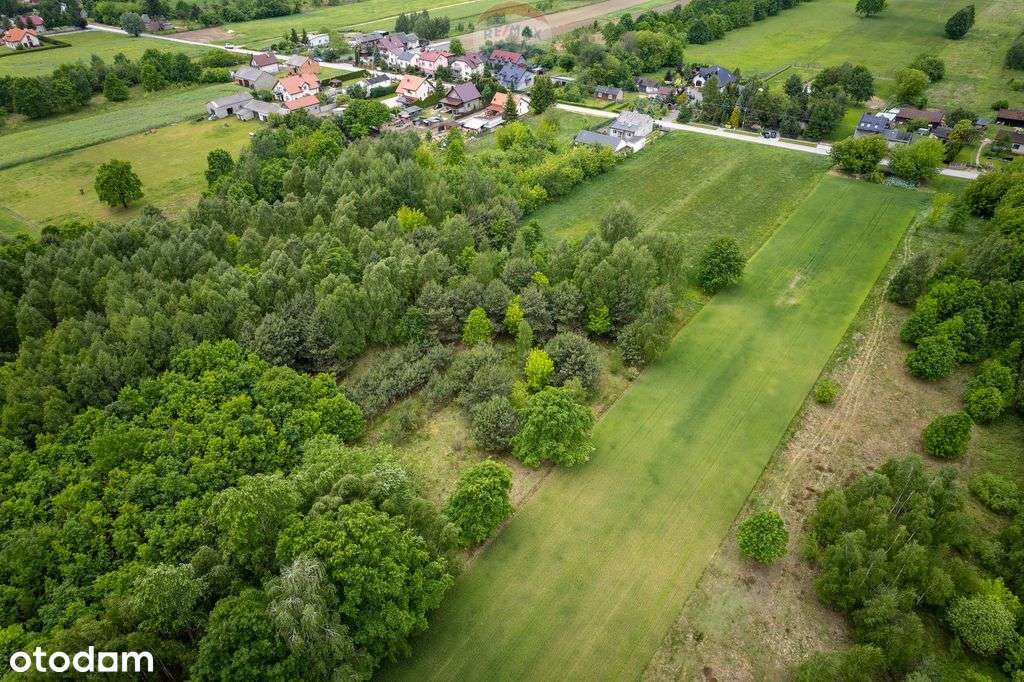 Działka Budowlana W Nowych Mostkach 2182 m2. - Pełny obrazek: 5/10