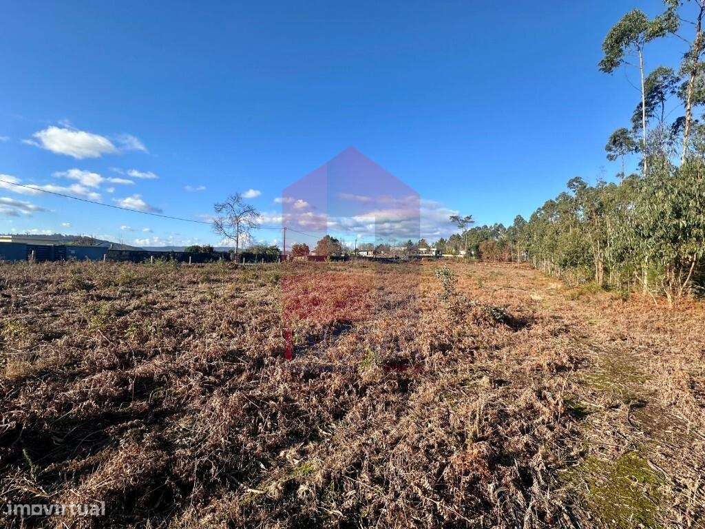 Terreno para construção, Igreja Nova - Grande imagem: 4/22