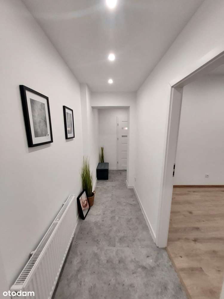 Przytulne mieszkanie w odnowionej kamienicy – po kapitalnym remoncie! - Pełny obrazek: 3/11