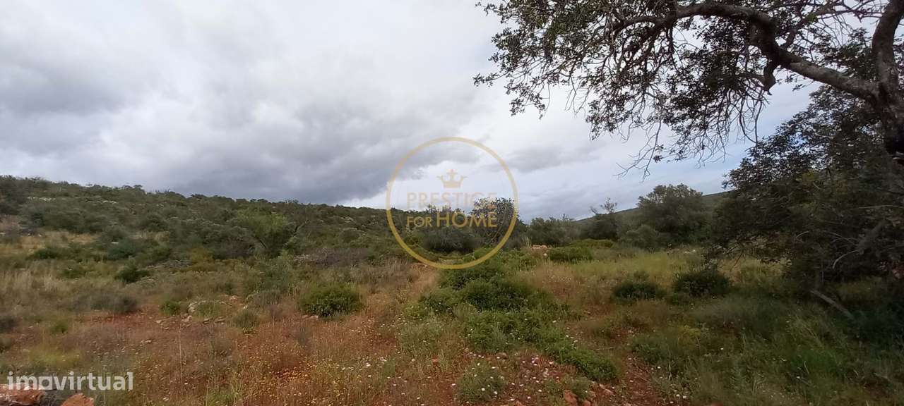 Terreno Rústico com Alfarrobeiras e Amendoeiras - 7.840 m² de Natureza - Grande imagem: 5/18