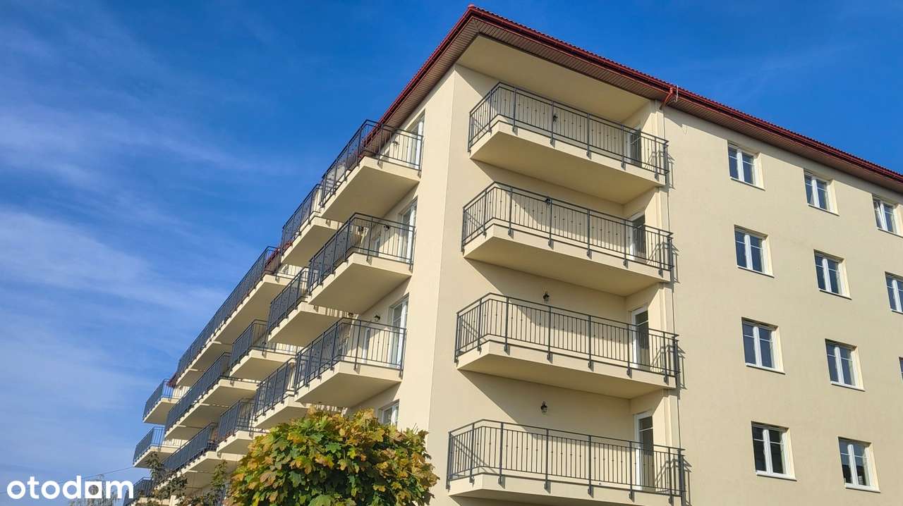 Gotowe do odbioru + taras z miejscem na stół i rośliny - Pełny obrazek: 3/24