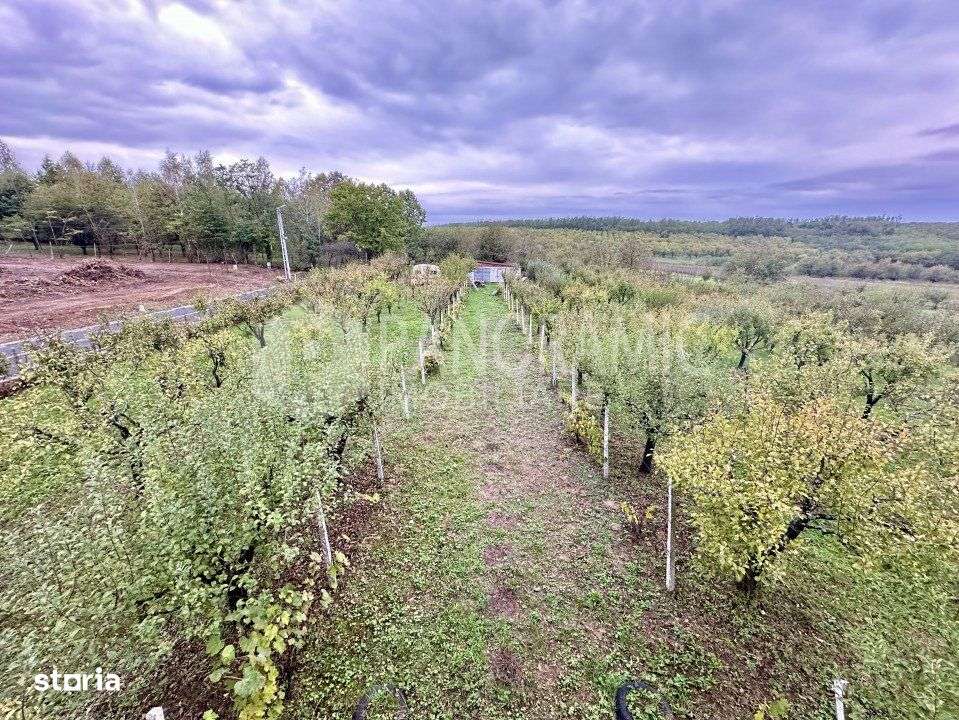 Teren 1250MP, Ardud-Vii - Imagine principală: 1/4