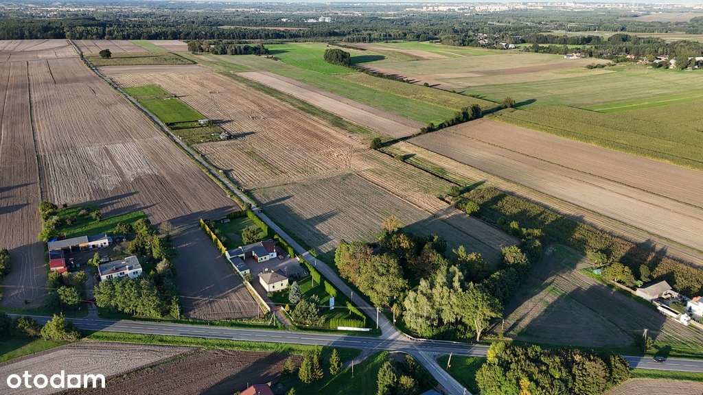 Piękna duża działka siedliskowa na obrzeżach Łodzi - Pełny obrazek: 5/10