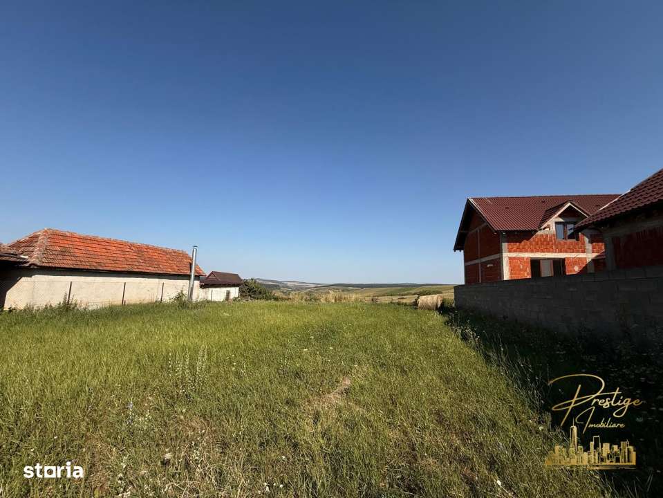 Teren intravilan de vanzare in Tasad - comuna Dragesti - Imagine principală: 1/7