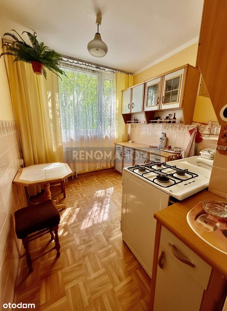 Kopernik/2 pokoje/1 piętro - Pełny obrazek: 3/5