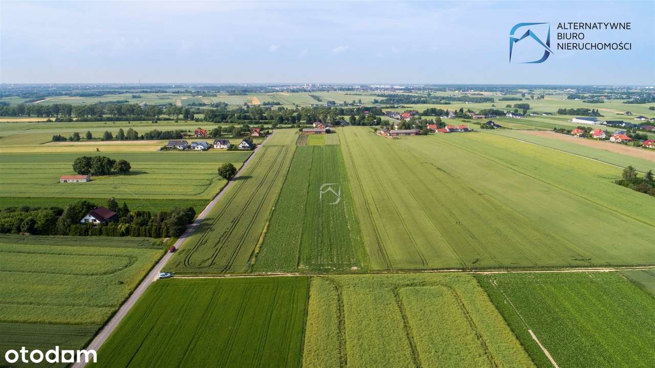 Działka budowlana w Wilczopolu - 1505 m² - Pełny obrazek: 5/14