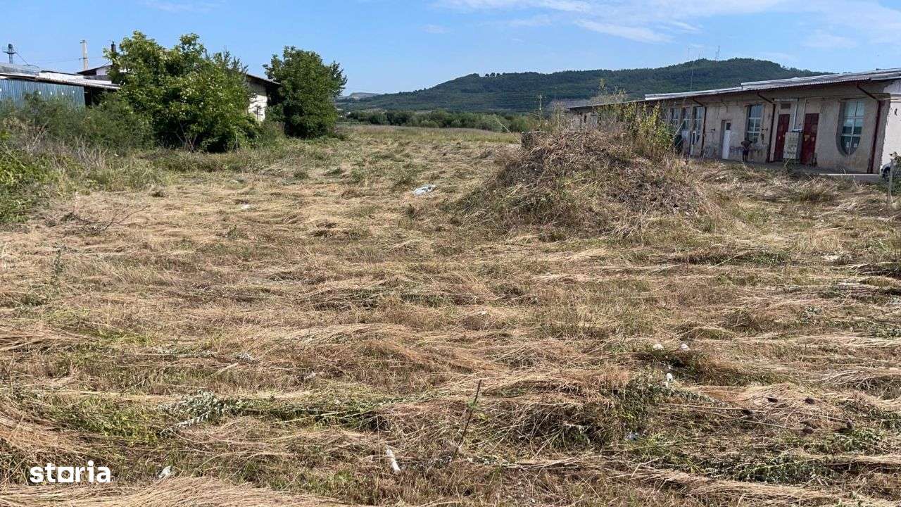 Teren intravilan de vanzare - 10.000 mp - Str. Stefan cel Mare - Sibiu-0