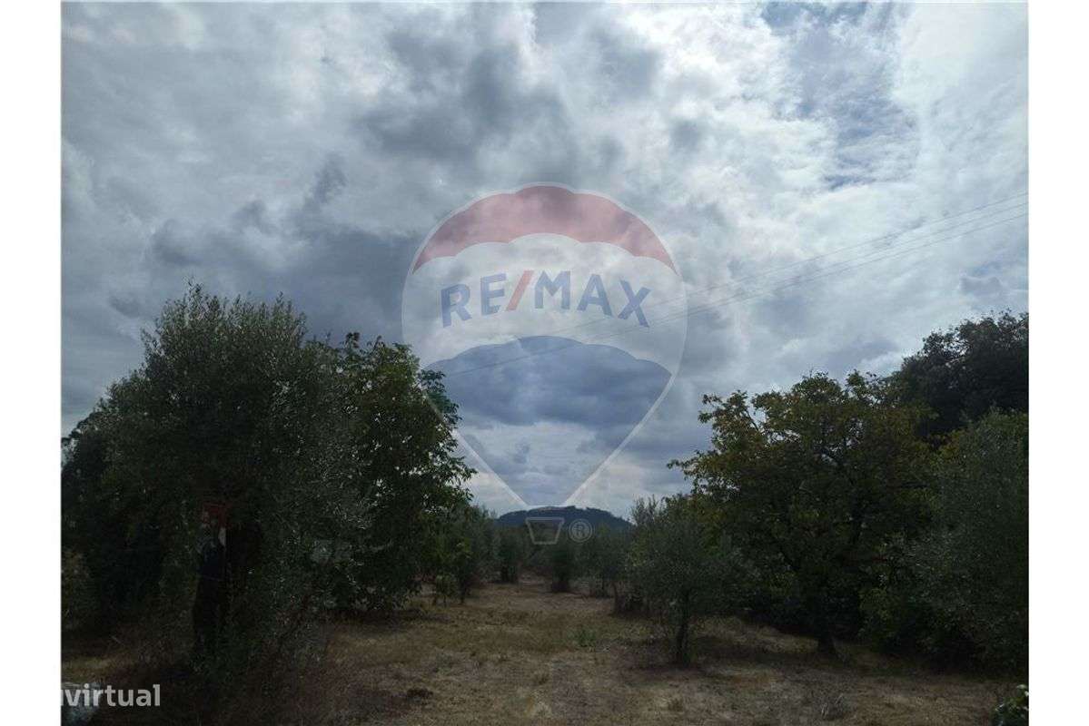 Terreno T0 para venda - Grande imagem: 4/9