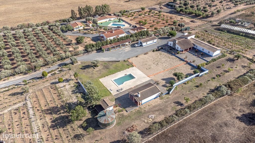 Quinta com piscina em Ferreira do Alentejo - Grande imagem: 1/19
