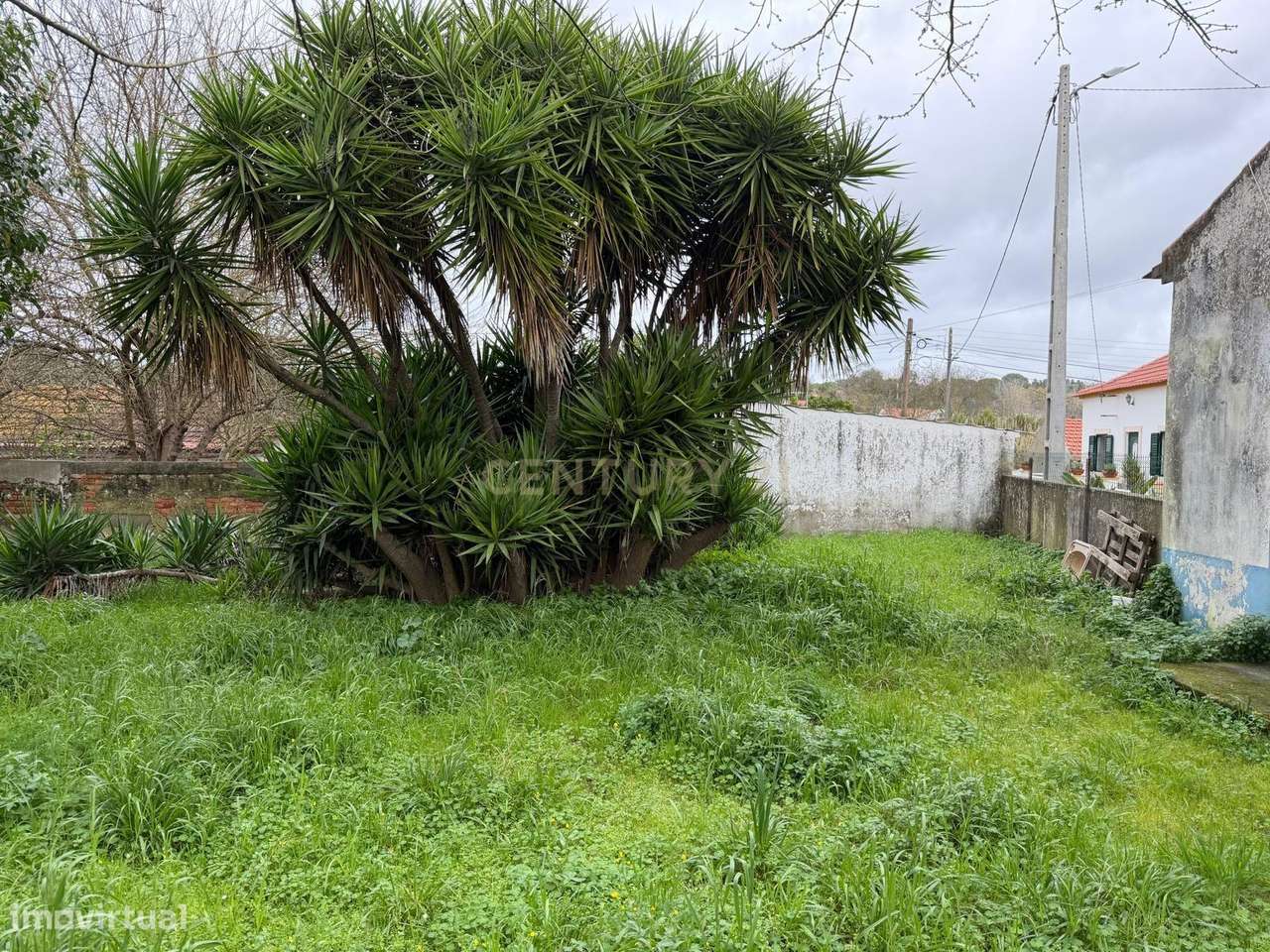 Encantadora Casa de Campo em Vale de Santarém-13