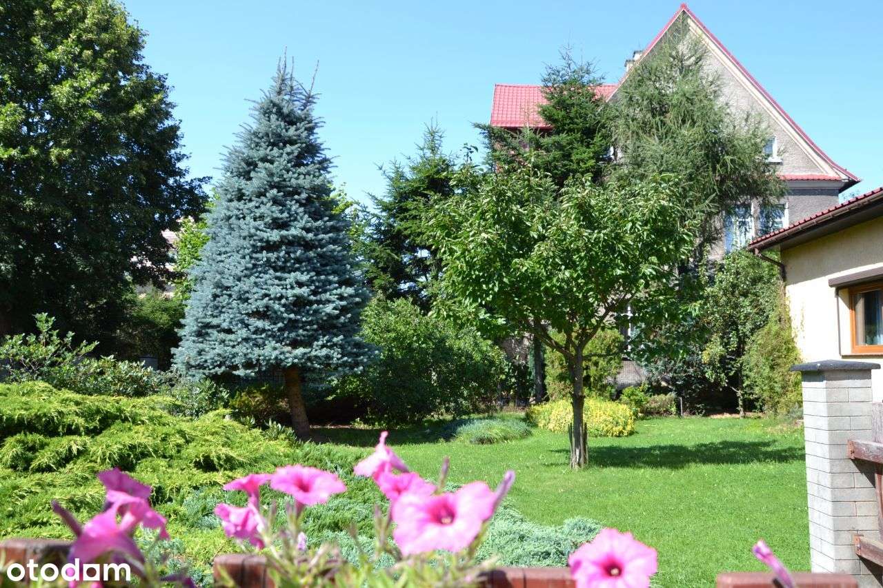 Dom z gotową i prosperującą restauracją! - Pełny obrazek: 5/20