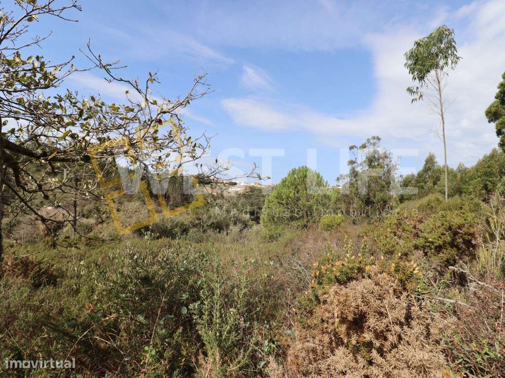 Terreno na Carvoeira - 2 Terrenos Rústicos com um Total de 9187m2 - Grande imagem: 5/12