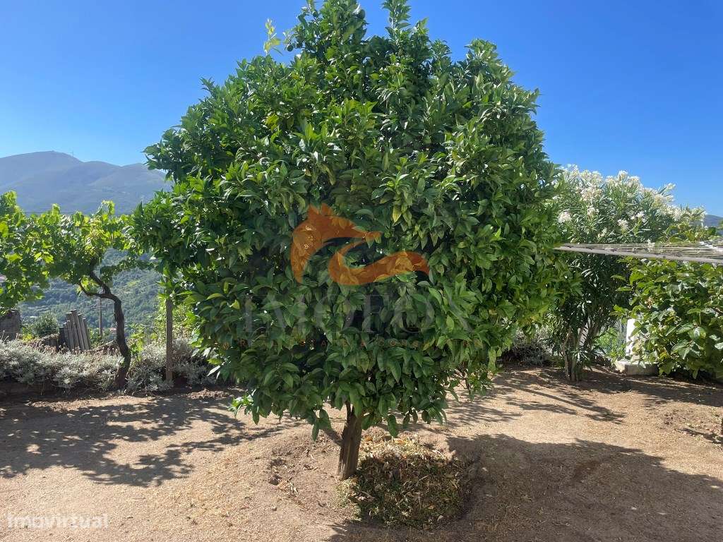 Moradia com jardim e garagem em Santa Ovaia, Oliveira do Hospital-21
