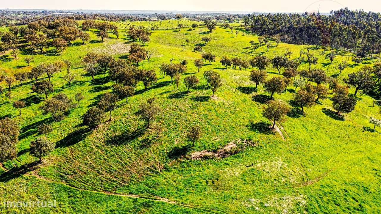TERRENO EM S.BARTOLOMEU DA SERRA-6