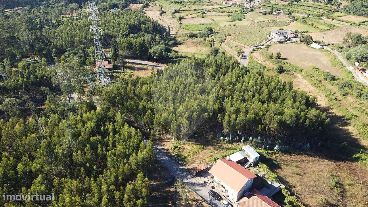 Terreno  para venda - Grande imagem: 3/10