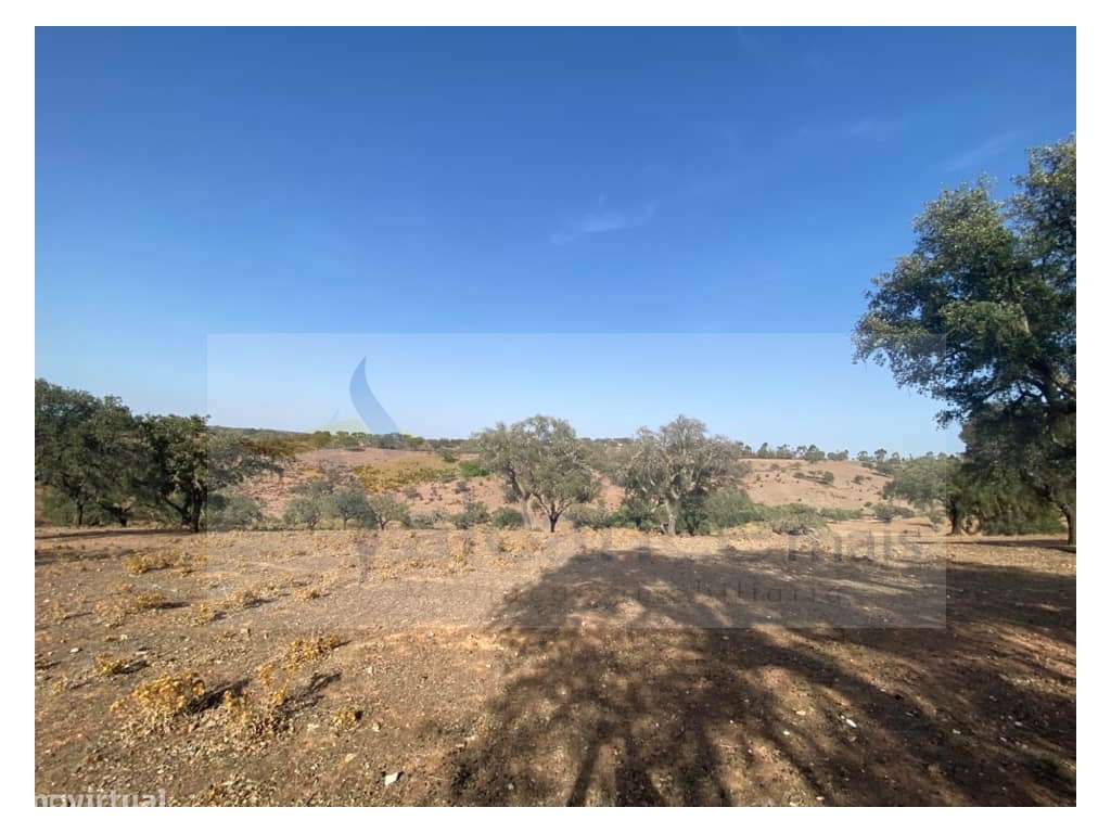Propriedade de 35 ha - com Monte em Ruínas em Serpa-11