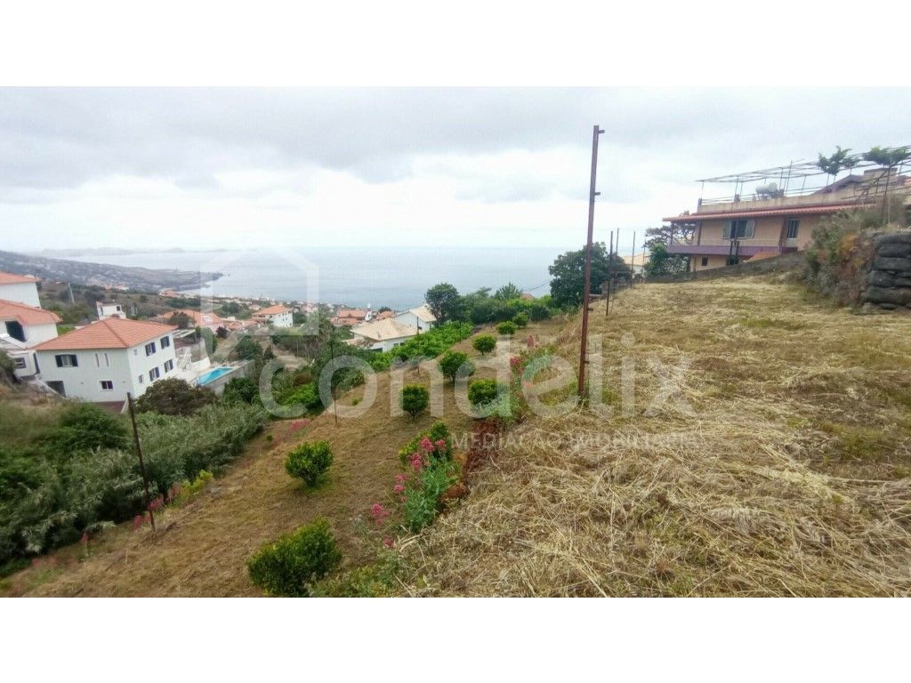 Terreno com 5250m2 em Gaula - vista mar