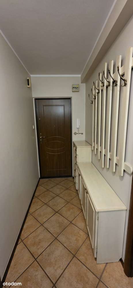 Przestronne 4-pok, Winogrady,-10