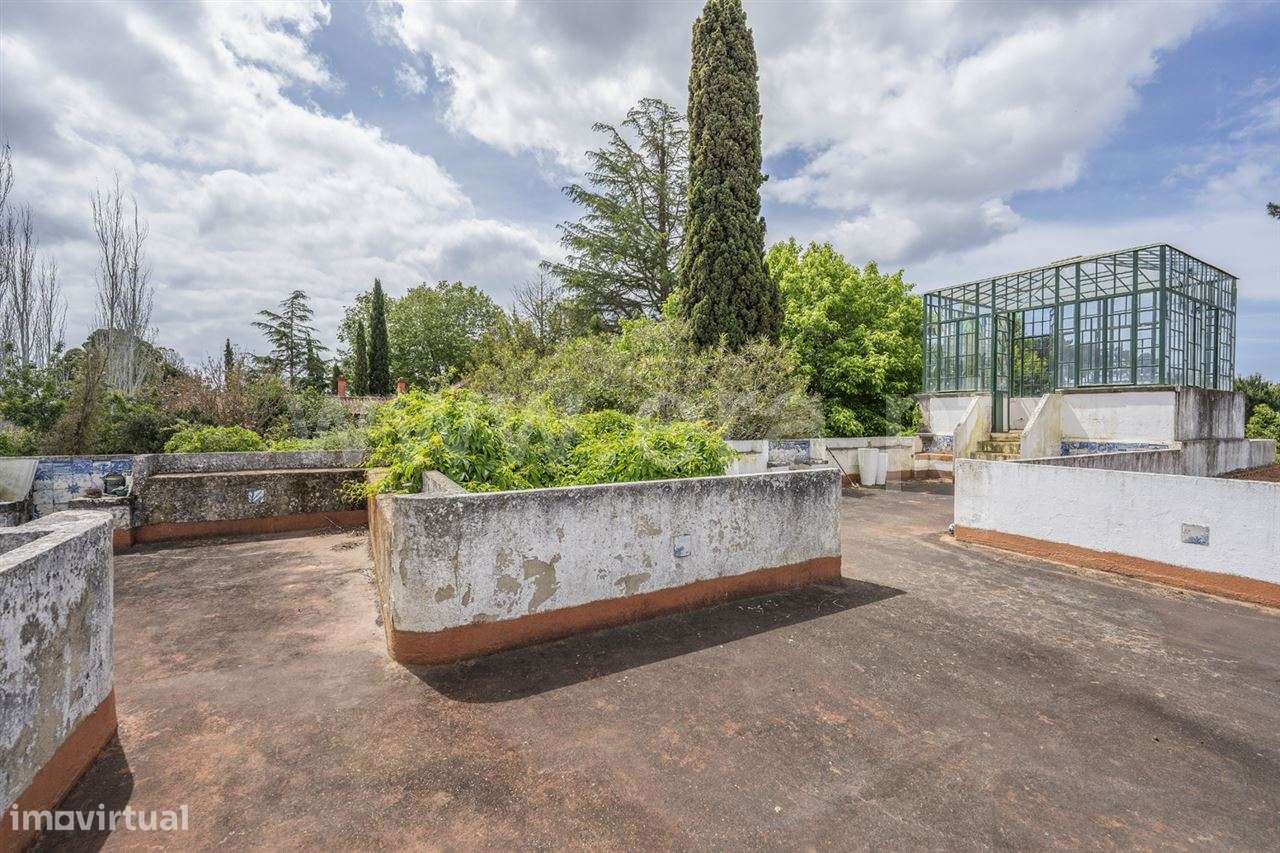 Magnifica Quinta T7; Verdizela-37