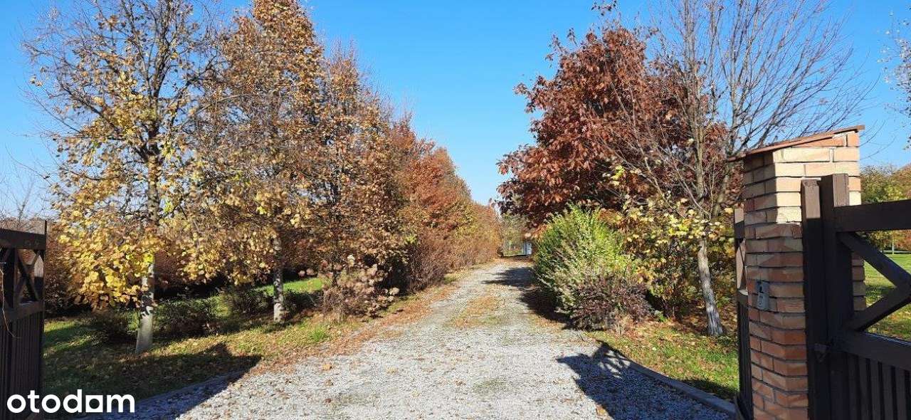 Piękna działka siedliskowa z budynkami.-7