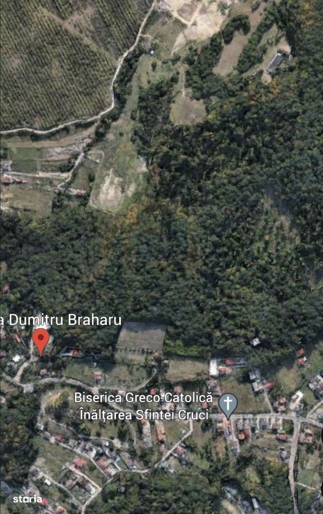 Vânzare teren pentru casa de vacanta, cabana, zona Pensiunea Serena-4