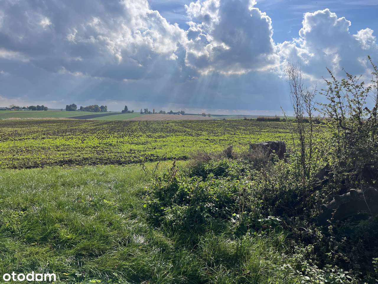 Spokojne i Ciche Siedlisko z domem na Lubelszczyznie - Pełny obrazek: 5/6