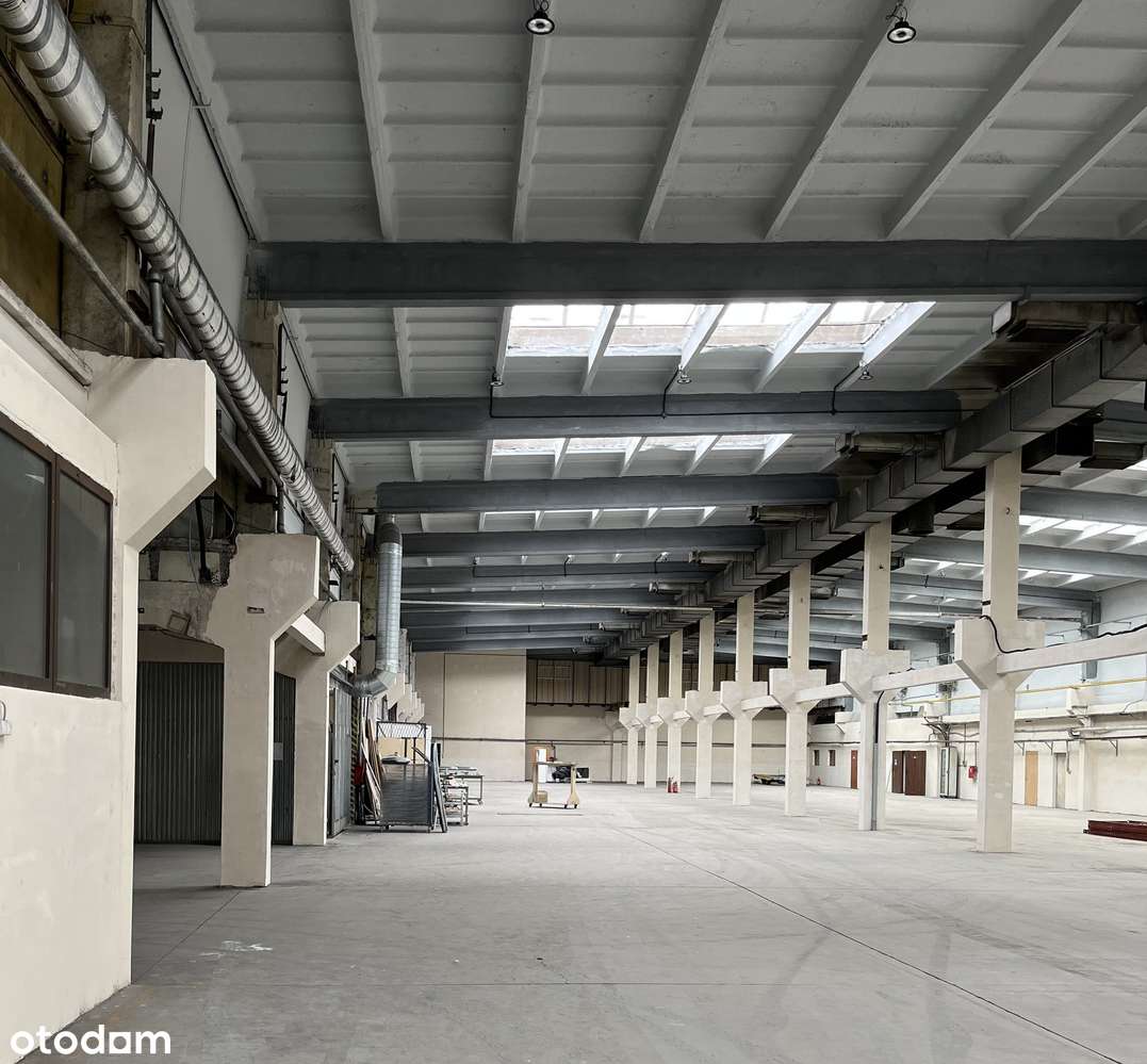 Hala Magazynowa Tychy - Pełny obrazek: 3/3