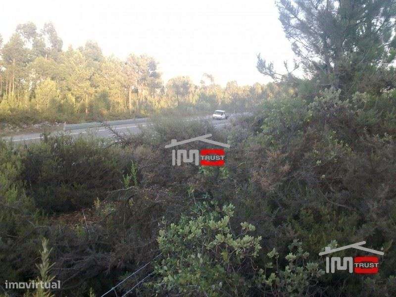 Terreno - Grande imagem: 5/6