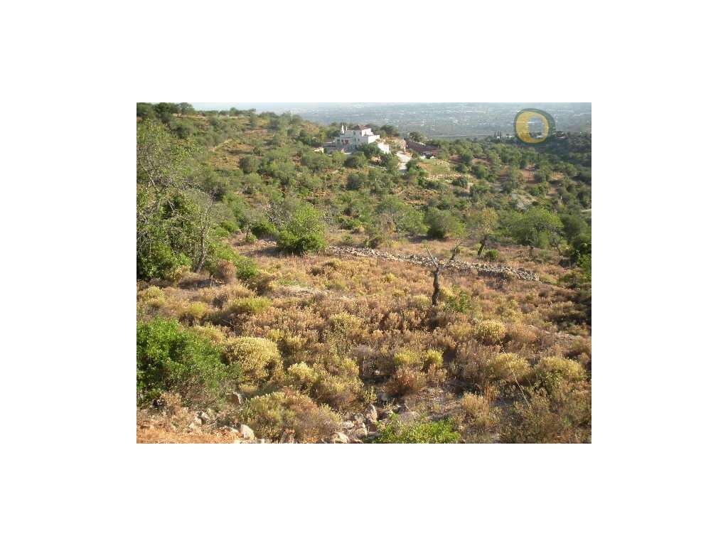 Terreno com vista mar - Grande imagem: 2/5