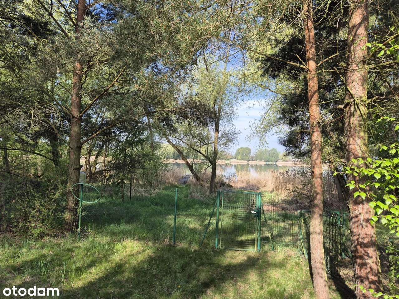 Dom letniskowy jezioro pierwsza linia piękne i spokojne miejsce. - Pełny obrazek: 5/10