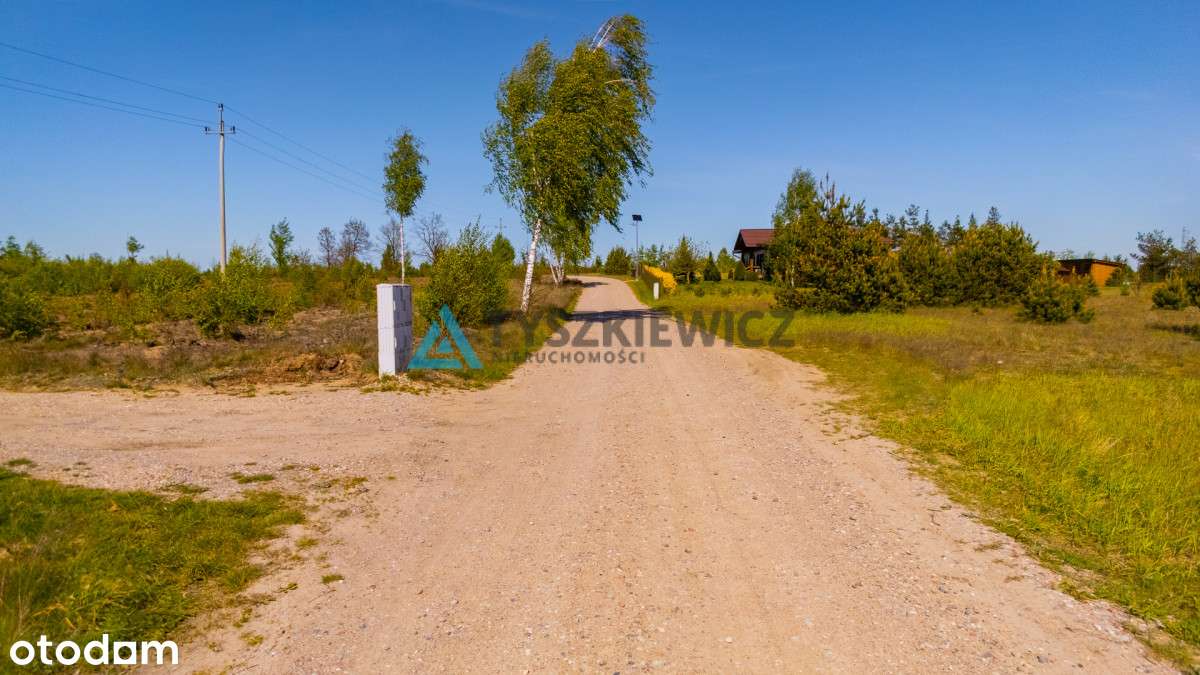 Działka w otulinie lasu. - Pełny obrazek: 5/10