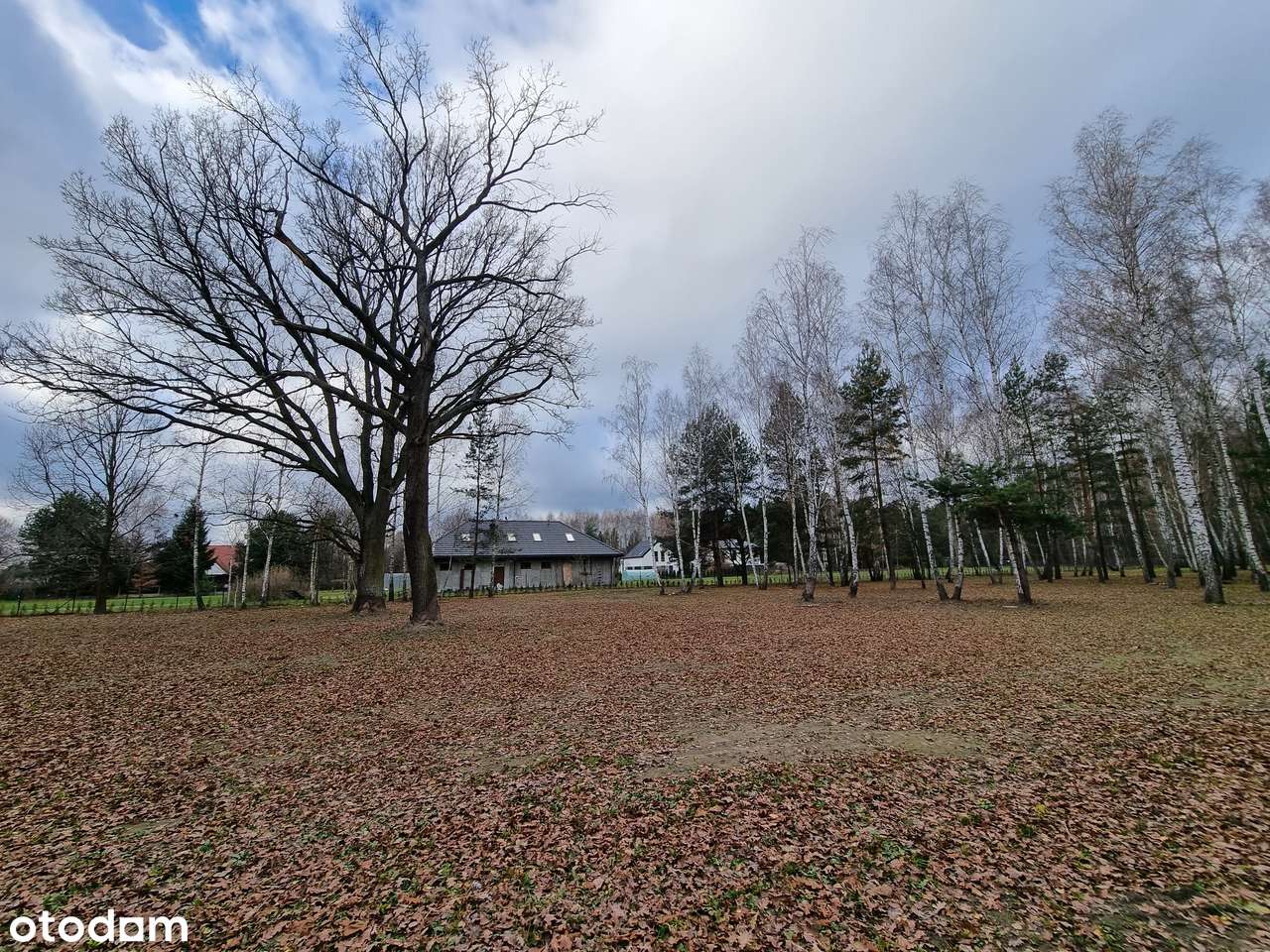 Zadrzewione działki budowlane z MPZP - zabudowa mieszkaniowa-2