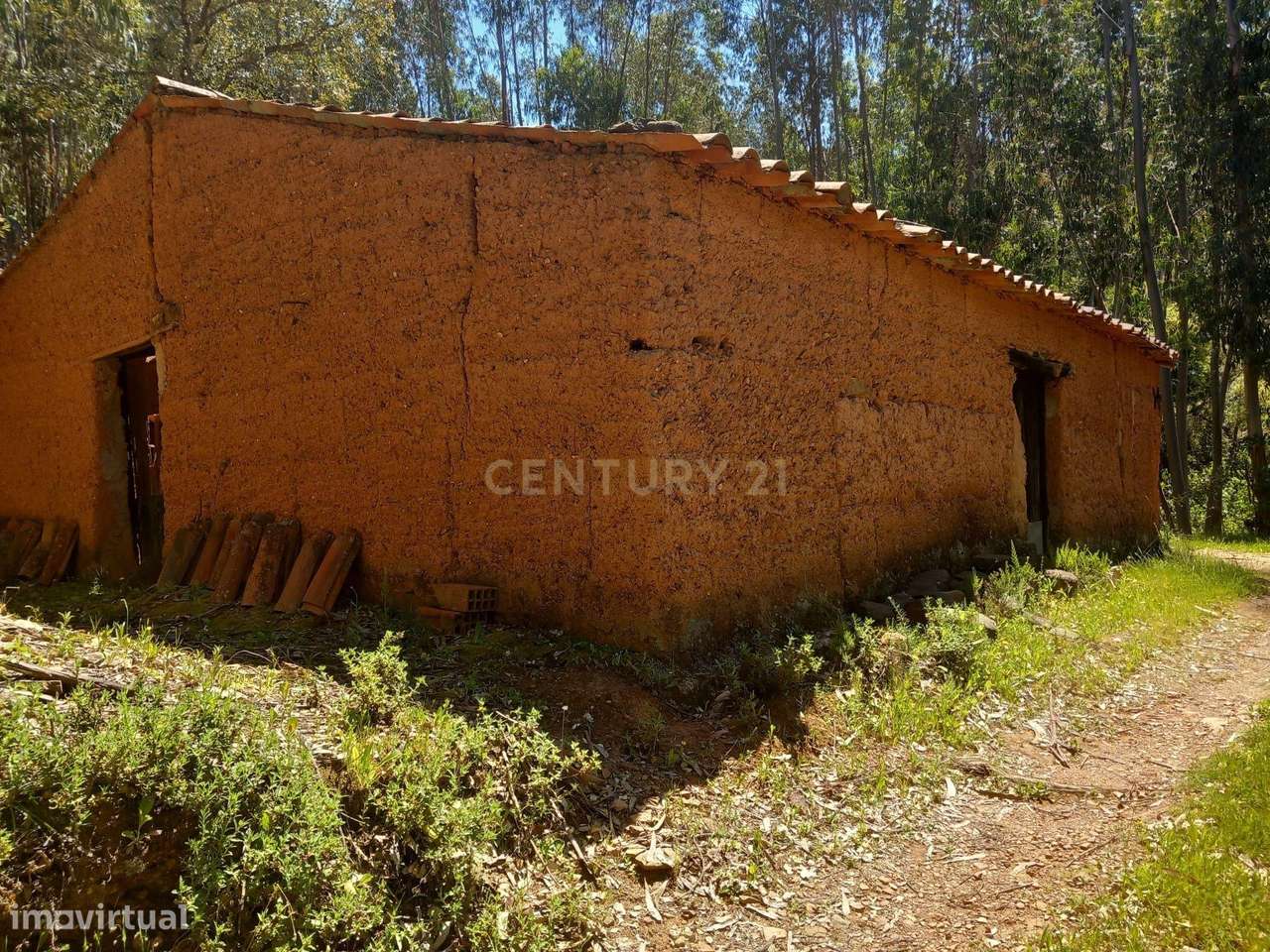 Terreno com cursos de água para venda na Serra de Monchique; Natureza, - Grande imagem: 4/20