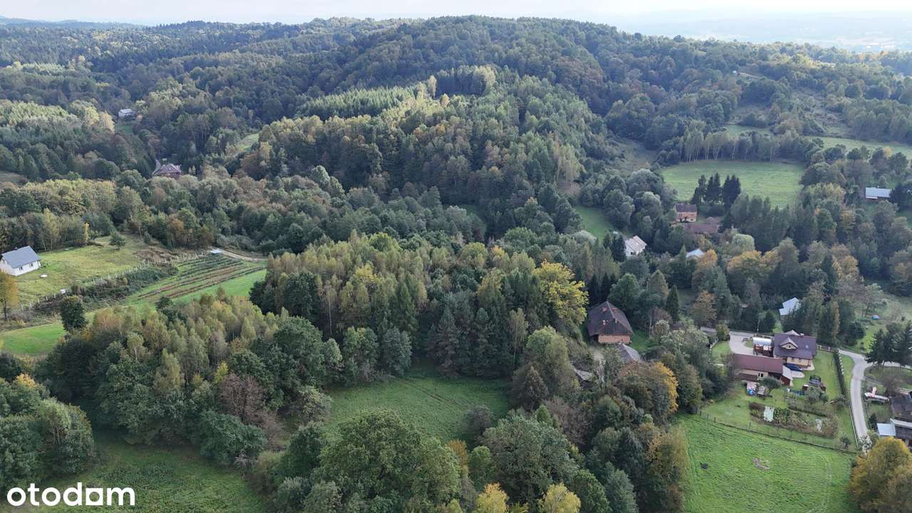 Łączki Jagiellońskie, siedlisko w malowniczym otoczeniu lasu i natury-6