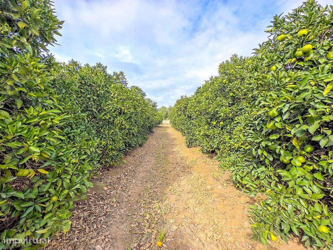 Terreno  para venda - Grande imagem: 4/46