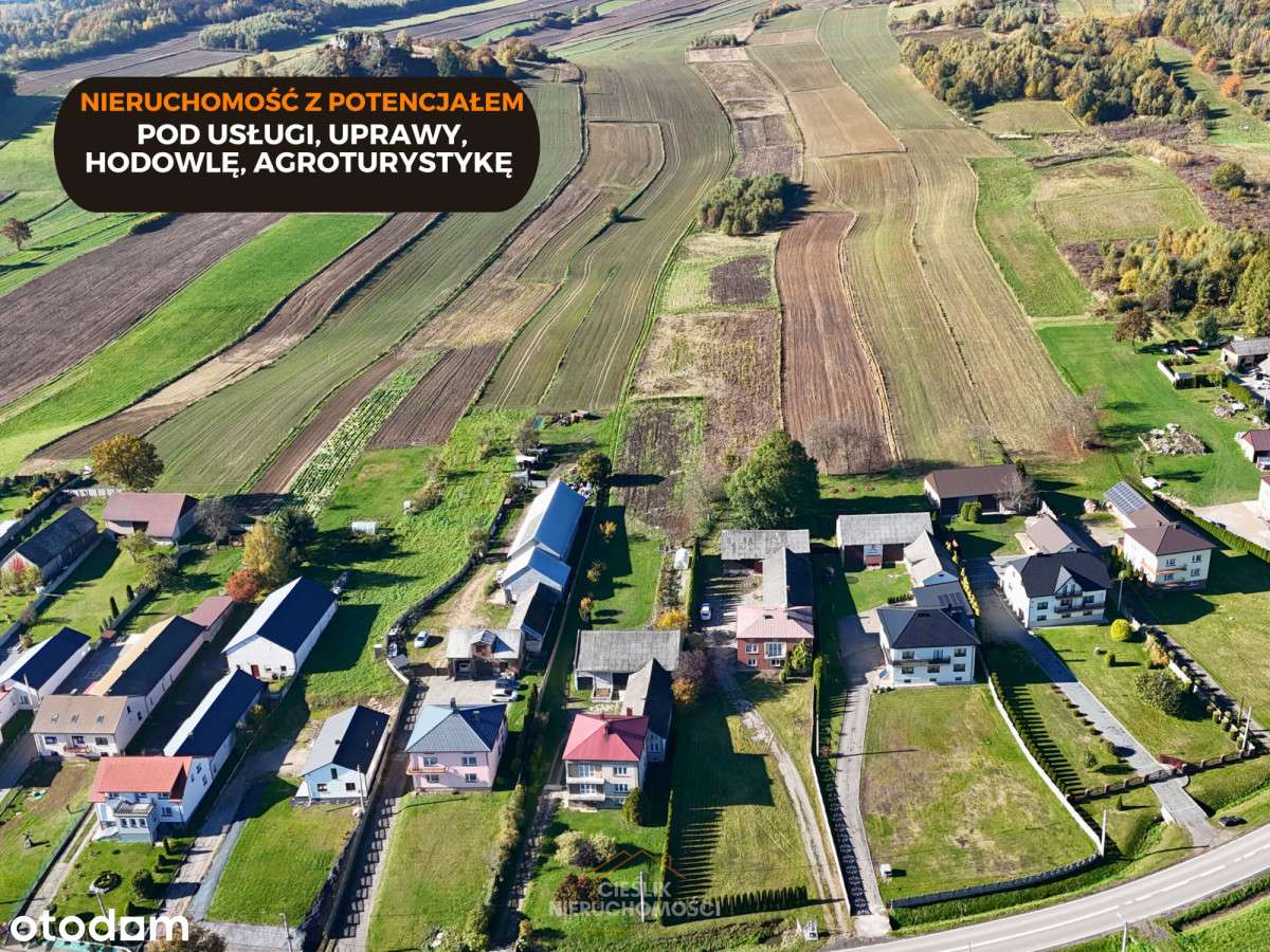 Nieruchomość z potencjałem inwestycyjnym – 3,8 ha-3