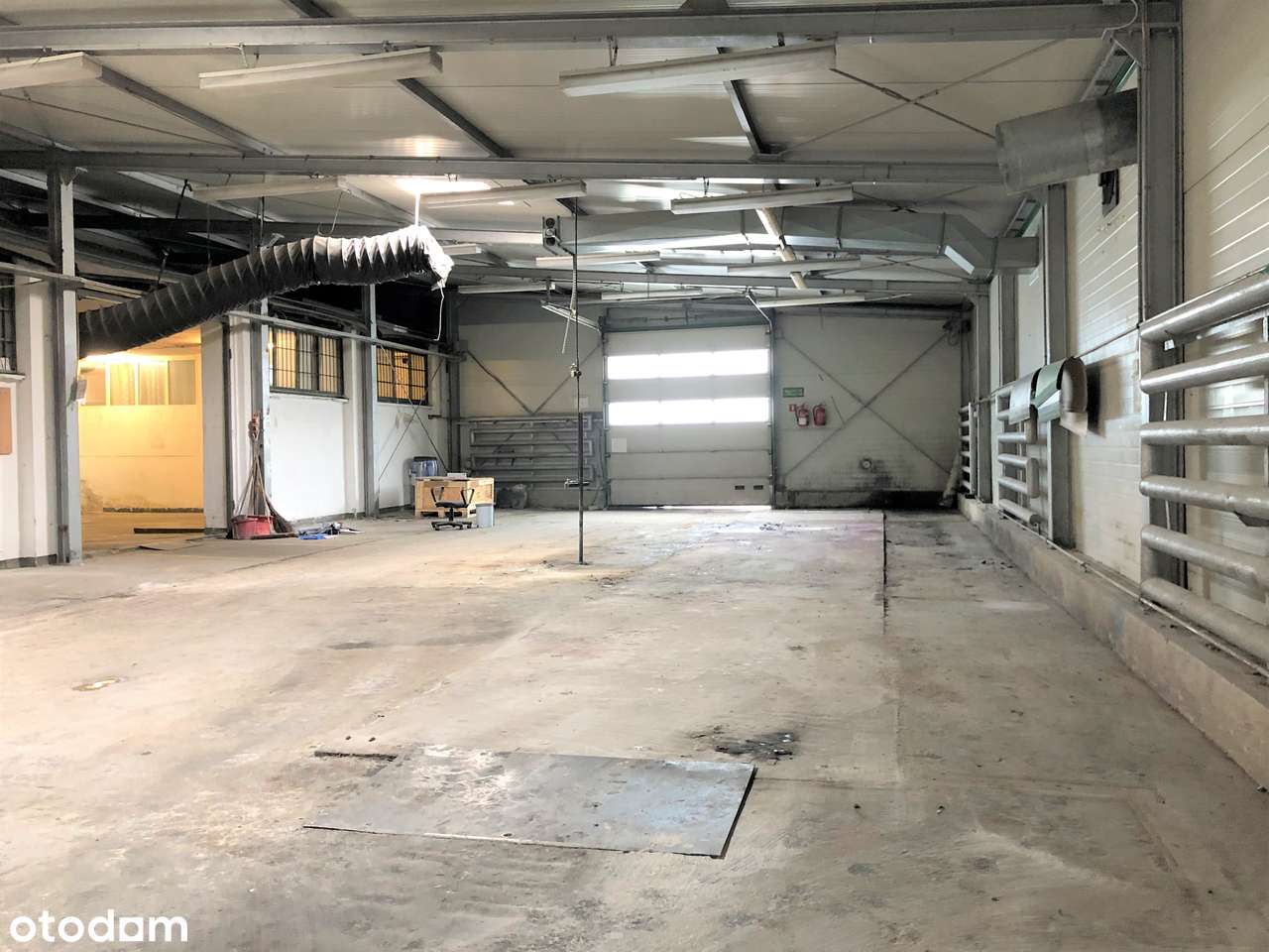 Kompleks hal  ok.2000 m², działka 1,1 ha - Pełny obrazek: 1/5