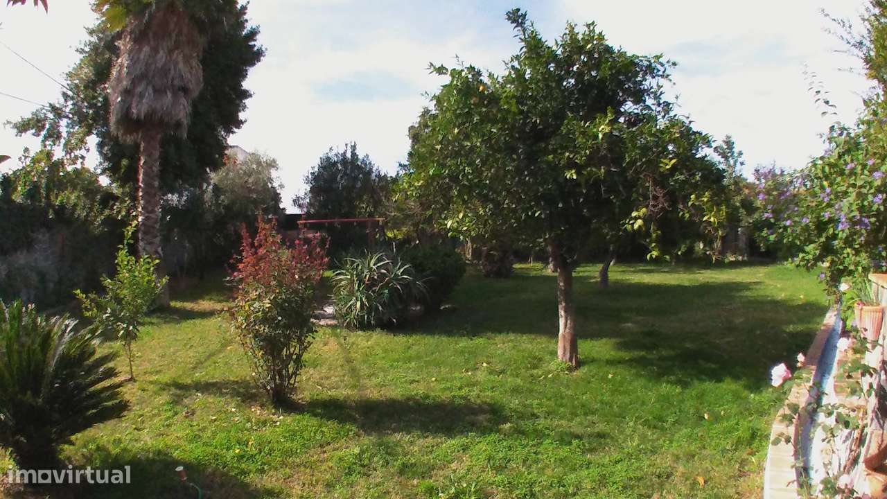 Palacete - Piscina e jardim no Alentejo-31