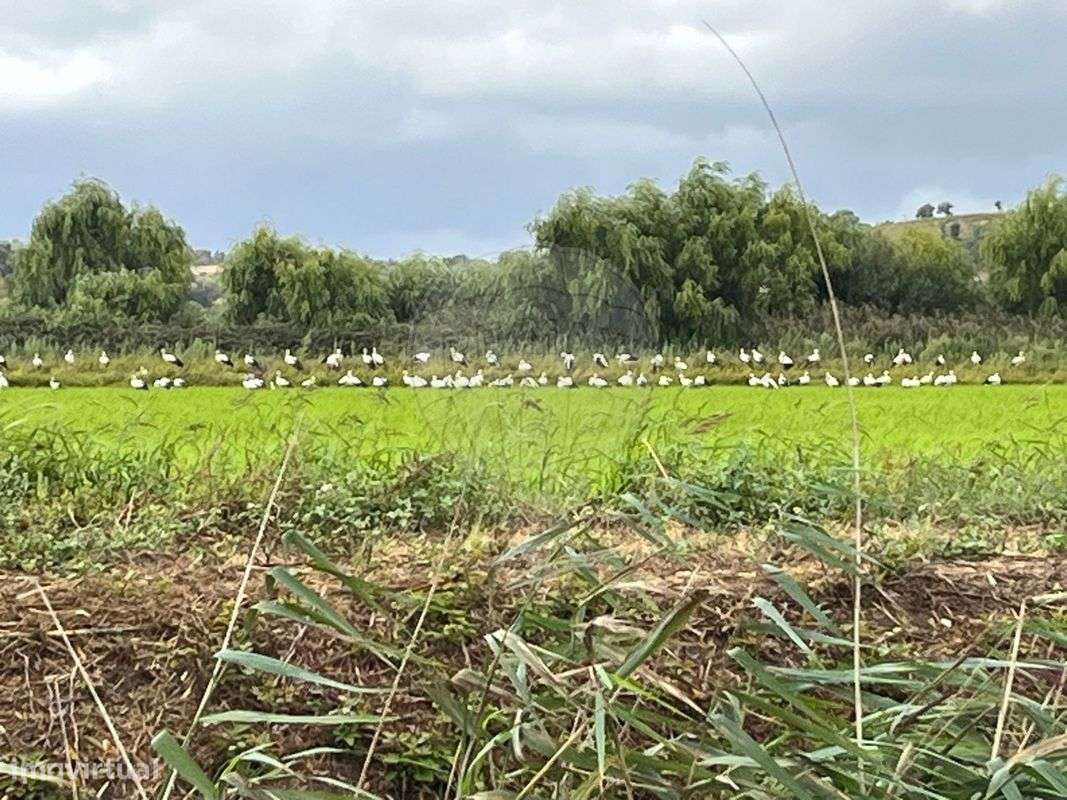 Prédio  para venda - Grande imagem: 5/9