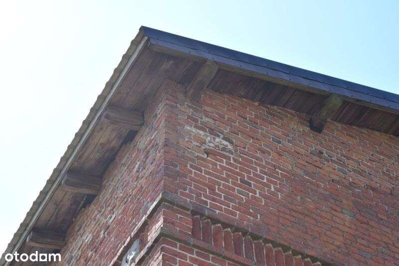 Sprzedam magazyn zbożowy nowy dach 3 kondygnacje - Pełny obrazek: 5/20