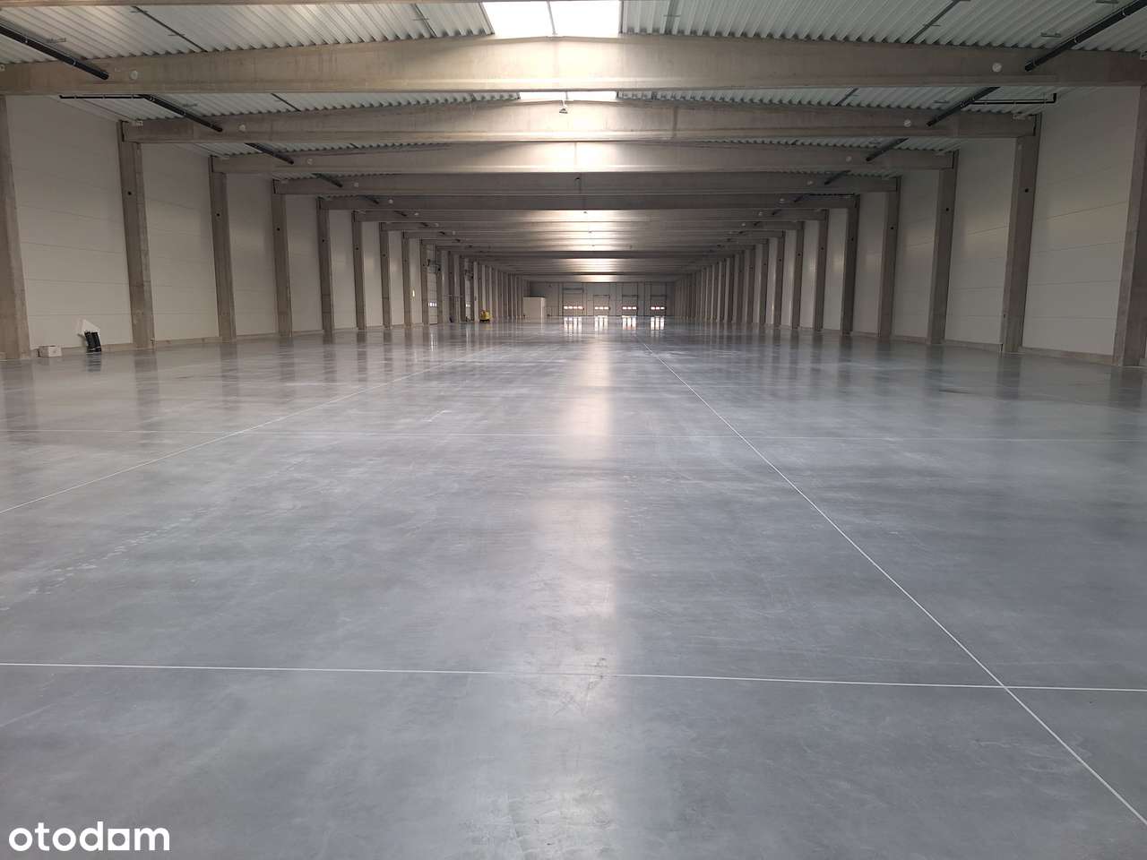 Wynajmę halę magazynową Jankowy 5000 m2 lub 2500 m2 TEL.692*427*002 - Pełny obrazek: 4/11